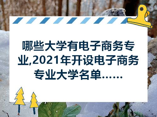 凯发K8一触即发电子商务电子商务专业有哪些哪些大学有电子商务专业2021年开设电